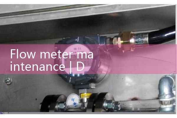 Flow meter maintenance